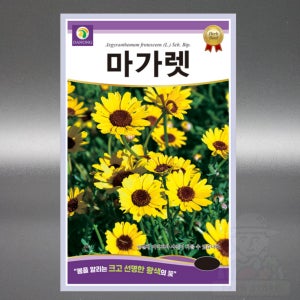 마가렛 씨앗 1g 허브 국화과 다년생 야생화 고급 꽃 씨 종자