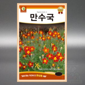 다농 만수국 80립 야생화 국화과 일년생 꽃 씨앗 씨 종자