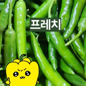 청양고추10kg 최저가 가성비상품