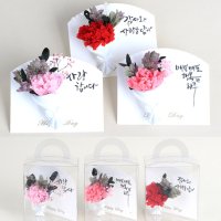 캘리그라피 프리저브드 미니 카드 납골당 코랄