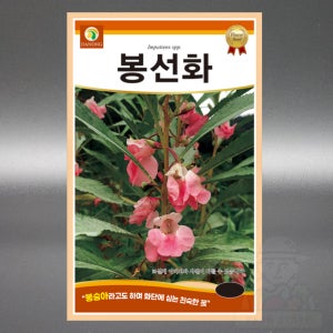 다농 봉선화 8g 야생화 봉선화과 일년생 꽃 씨앗 씨 종자