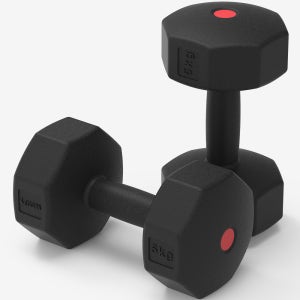 이고진 PE 팔각 덤벨 아령 홈트레이닝 헬스장 크로스핏 근력 운동 5kg, 2개