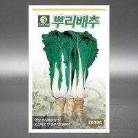 뿌리배추 2000립 조선배추 토종배추 씨앗 씨 종자