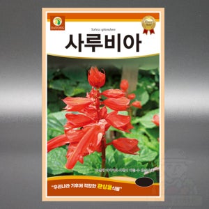 다농 사루비아 1.5g 샐비어 깨꽃 약불꽃 서미초 야생화 꿀풀과 꽃 씨앗 씨 종자
