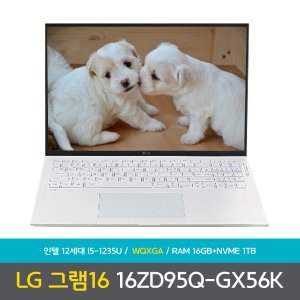 16zd95q-gx56k 최저가 가성비상품