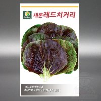 레드치커리 2000립 치커리 씨앗 씨 종자