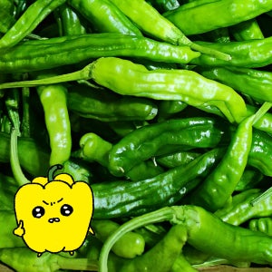 프레치 국산 꽈리고추 특품 4kg, 1개