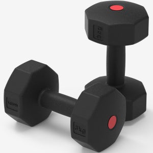 이고진 PE 팔각 덤벨 아령 홈트레이닝 헬스장 크로스핏 근력 운동 3kg