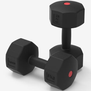 이고진 PE 팔각 덤벨 아령 홈트레이닝 헬스장 크로스핏 근력 운동 6kg, 2개