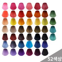 안토시아닌 헤어 매니큐어 셀프 염색 세컨 에디션 230g 52종