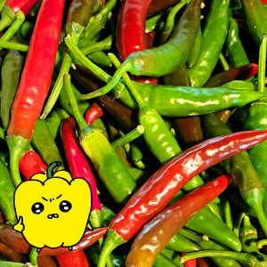 프레치 국산 싱싱한 청양반홍고추 청양고추반불 5kg, 1개