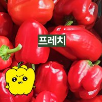 프레치 국내산 싱싱달달한 빨강파프리카 홍파프리카