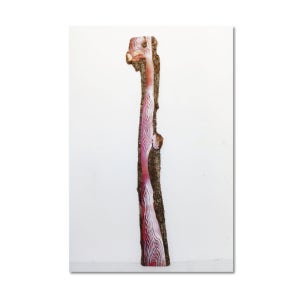 Woodgrain_Burgundy and White, 김수현작가