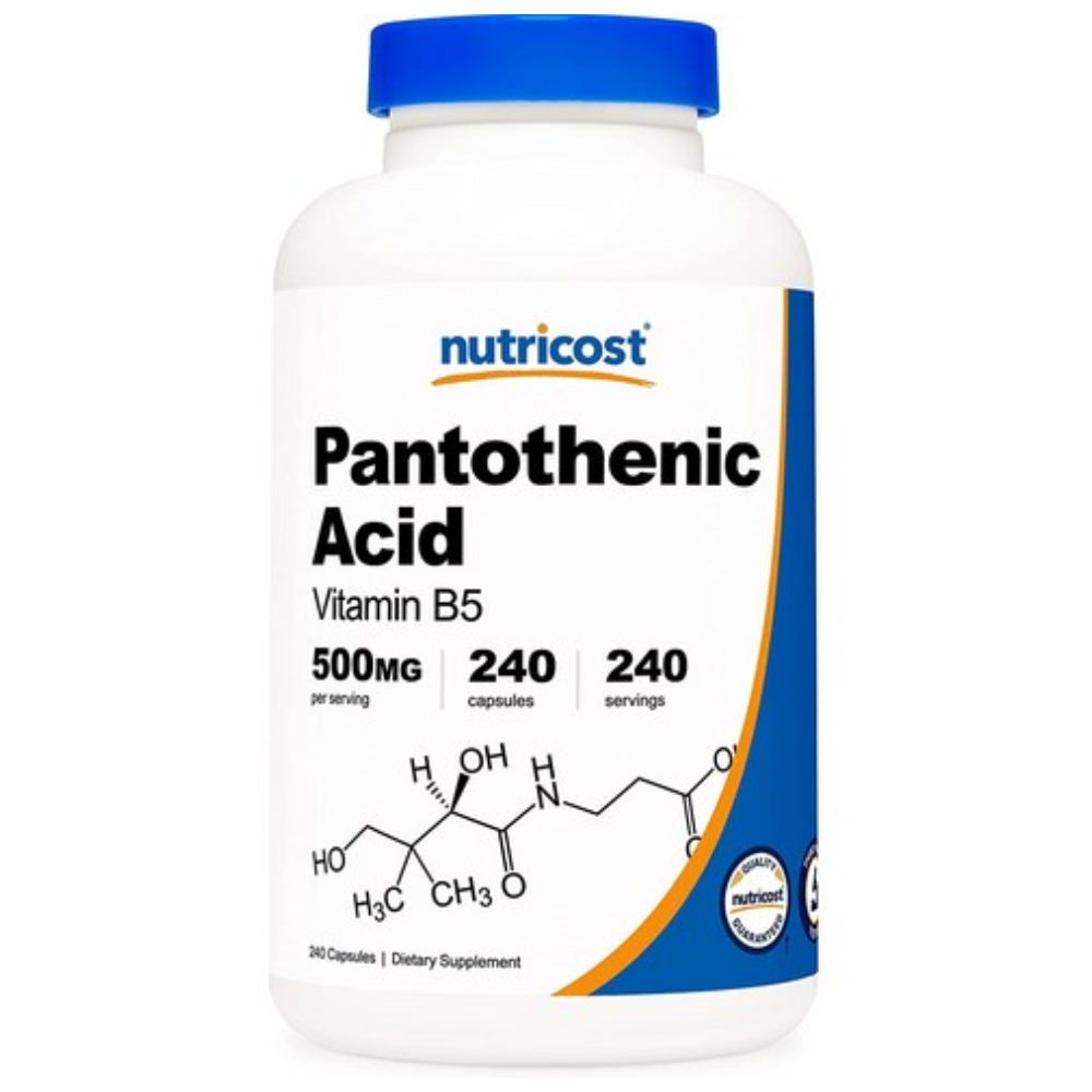 <b>뉴트리코스트 판토텐산</b> 비타민 B5 500mg 240캡슐