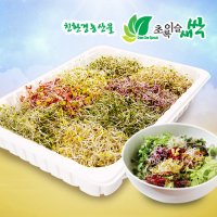 초록이슬새싹/새싹채소(450g)/브로콜리/유채/콜라비/적무/배추/무공해식품/무농약