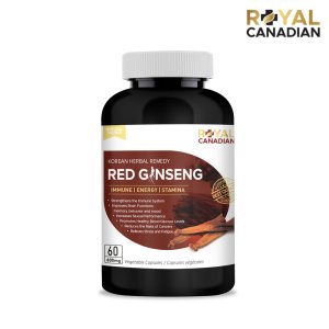 홍삼 추출물 레드진생 600mg - 60캡슐 홍삼점 로얄캐네디언