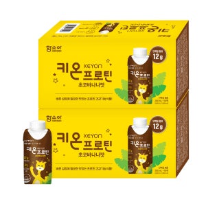 키온 프로틴 초코바나나, 200ml, 36개