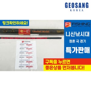 유투브 니신 잉어낚시대 일본제 중층 정혼 극 경기 진출 12척