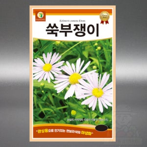 쑥부쟁이 씨앗 1.5g 야생화 국화과 다년생 꽃 씨앗 씨 종자