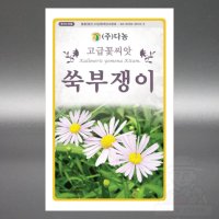 쑥부쟁이 1.5g 야생화 고급 꽃 씨앗 씨 종자 다년생