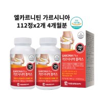 엘카르니틴 카르니틴 다이어트 체지방 다운 부스터 가르시니아 효능 알약 식약처인정