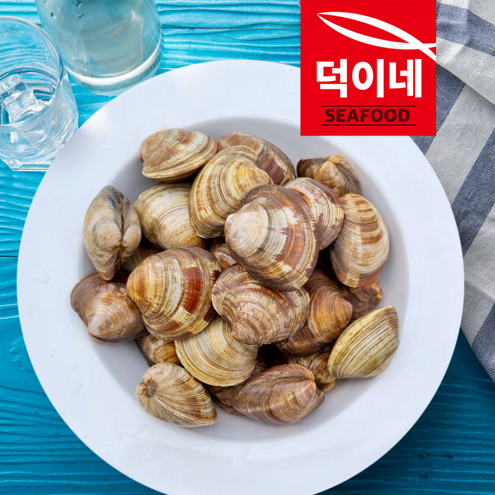 냉동 백합 조개 1KG