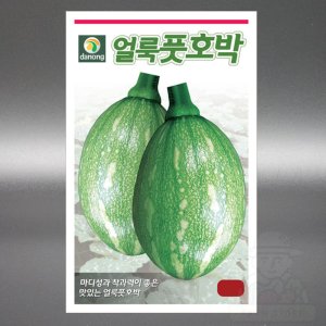 얼룩풋호박 30립 풋호박 마디 호박 씨앗 씨 종자