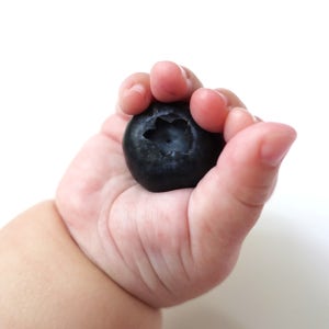 제주 무농약 왕블루베리 국산 생과 햇블루베리 1kg