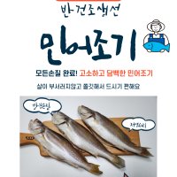 반건조 민어조기(28cm) 3마리