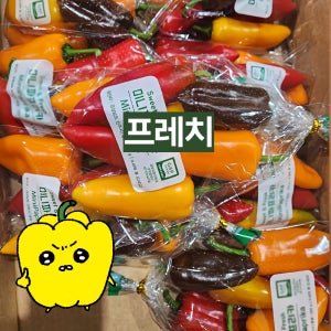 프레치 국내산 미니파프리카 꼬마파프리카 혼합 200G 1kg 2kg