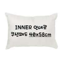 이케아 INNER 인네르 쇼파 쿠션 패드 쿠션솜 속쿠션 화이트 40x58cm