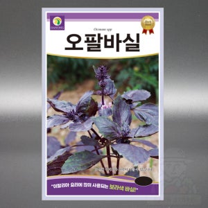 오팔 바질 1g(500립) 자색 퍼플 꿀풀과 허브 바질 씨앗 일년생 야생화 고급 꽃 씨 종자