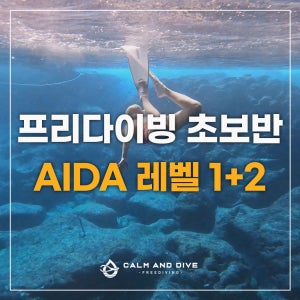 [캄앤다이브] 프리다이빙 입문 레벨1 + 레벨2 서울 경기 AIDA