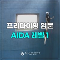 [캄앤다이브] 프리다이빙 체험 레벨1 서울 경기 AIDA