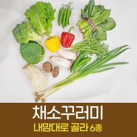 내맘대로 고르는 건강한 제철 채소 6종 꾸러미