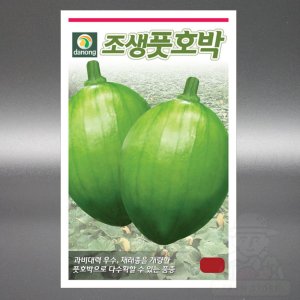 조생풋호박 600립 풋호박 씨앗 씨 종자 대포장 대용량