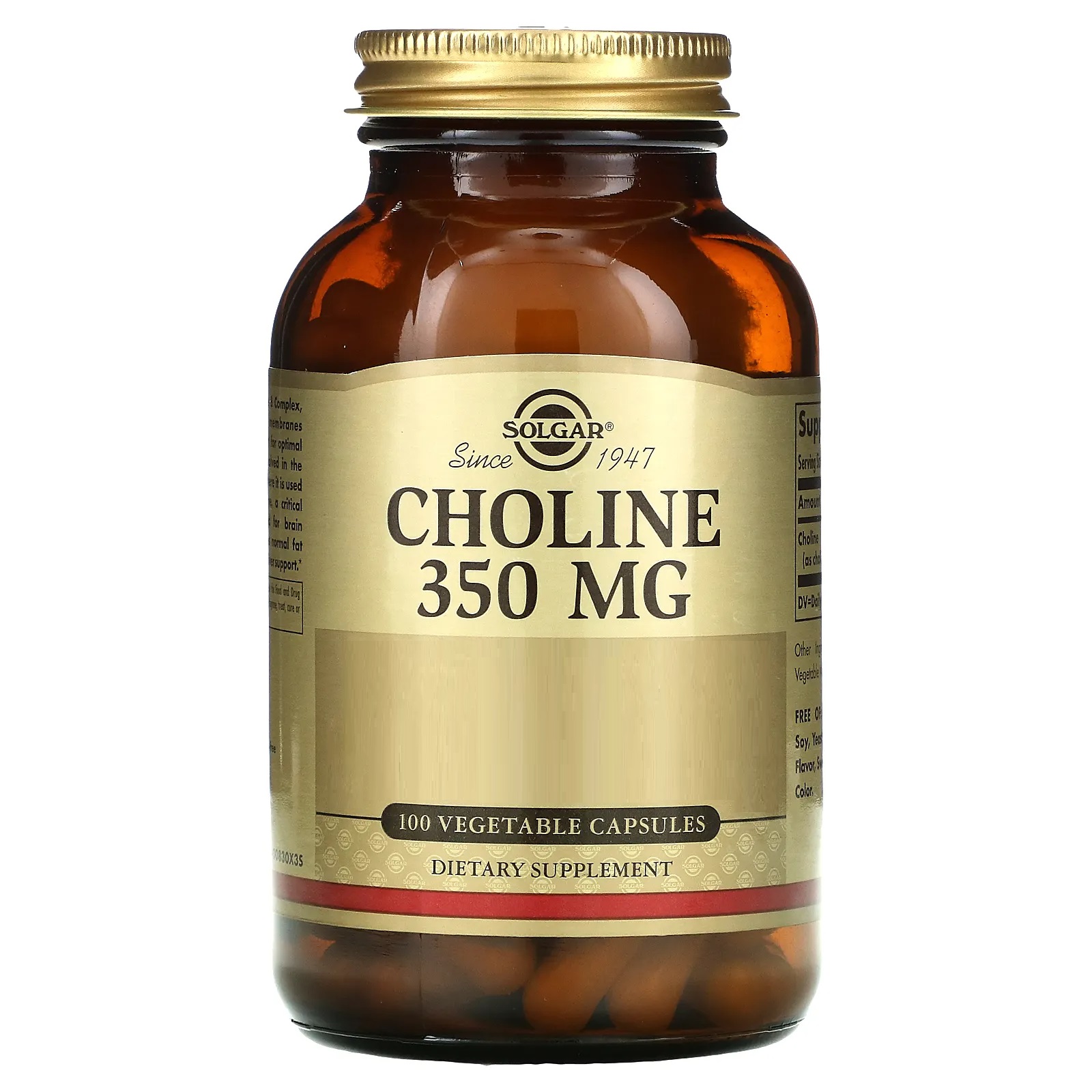 솔가 Choline 350mg 100베지캡슐
