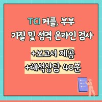 TCI검사 MBTI 검사 포함한 성인 커플 부모 자녀 기질 성격테스트