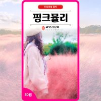 핑크뮬리 씨앗 50립 / 꽃씨 몰 봄 가을 꽃씨앗 다년생 야생화