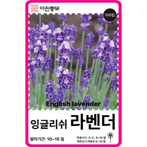 라벤더 씨앗 100립 / 잉글리쉬 라벤다 꽃씨 몰 봄 가을 꽃씨앗 허브씨앗 종자