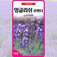 잉글리쉬라벤더 씨앗 100립 / 라벤다 꽃씨 몰 봄 가을 꽃씨앗 다년생 야생화