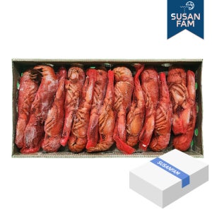 캐나다 자숙 랍스터 4.54kg 약11미(400/450) 바닷가재 랍스타