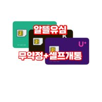 유심칩 요금제 셀프개통 알뜰폰 데이터USIM 무약정 SK KT LGU+