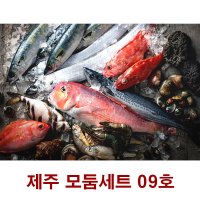 OH3E02M4K02 창해수산 창해수산 일반 모둠 세트 03호