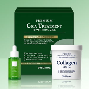 웰더마 시카 리페어 피팅 마스크 팩 80매 (20박스) + 시카앰플 + 토너패드