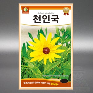 천인국 씨앗 60립 야생화 국화과 일년생 꽃 씨앗 씨 종자