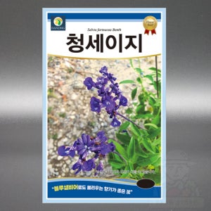 청세이지씨앗 0.5g 블루 세이지 샐비어 야생화 꽃 씨 종자