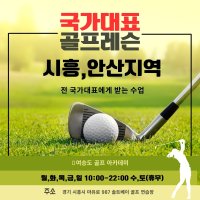 시흥,안산 골프레슨(전 국가대표)