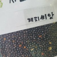 국산 제피(초피) 씨앗 100g