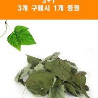 자연담은 건강한 칡잎4개(1개 덤 증정)토끼간식,토끼먹이